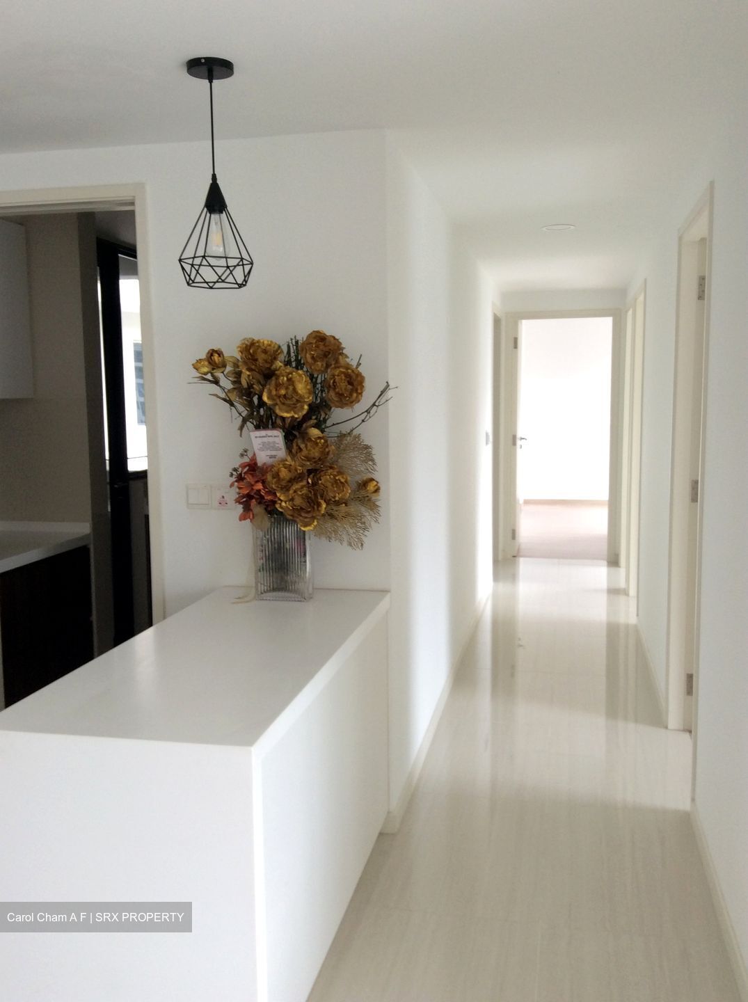 Riversound Residence (D19), Condominium #589823311